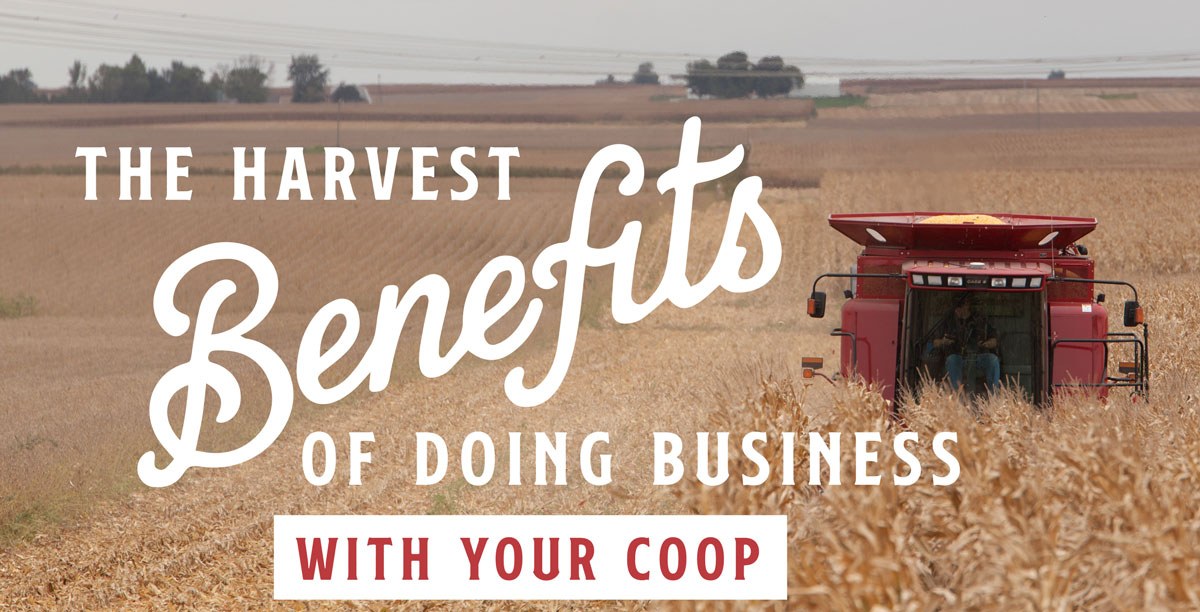 Farmers Cooperative Society