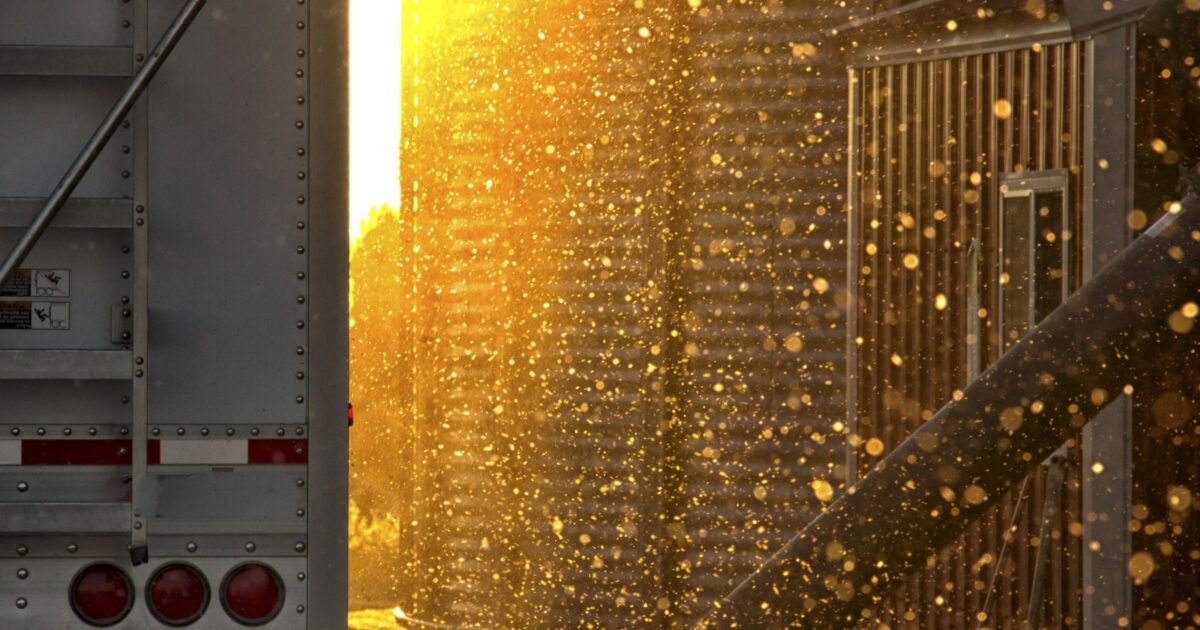 New Grain Marketing Options for 2019 Farmers Cooperative Society