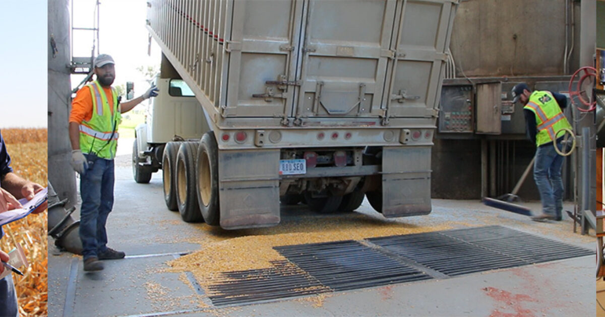 Coops and Communities, Stronger Together Farmers Cooperative Society